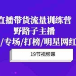 (10016期)直播带货流量特训营,野路子主播(起新号/专场/打榜/明星网红助博)19节课