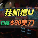 (10013期)日赚30美刀,2024最新海外挂机撸U内部项目,全程无人值守,可批量放大
