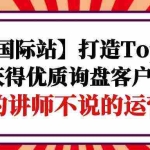 (9976期)【阿里国际站】打造Top店铺-获得优质询盘客户,95%的讲师不说的运营技巧