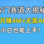 (9949期)快手无脑搬运冷门赛道视频“仅6个作品 涨粉6万”轻松月赚4W+