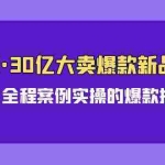 (9944期)亚马逊30亿·大卖爆款新品推广,可复制、全程案例实操的爆款推新SOP