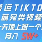(9931期)一键搬运TIKTOK萌宠类视频 一部手机即可操作 所有平台均可发布 轻松月入5W+
