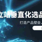 (9925期)独立站-垂直化选品训练营,打造产品壁垒,提升网站利润(3节直播课)