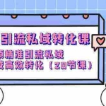 (9926期)短视频引流 私域转化课,短视频精准引流私域,在私域高效转化(20节课)