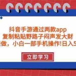(9912期)抖音手游通过两款app,复制粘贴野路子闷声发大财,无限做 一部手机日入500+
