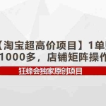 (9849期)【淘宝超高价项目】1单赚1000多,店铺矩阵操作