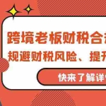 (9838期)跨境老板-财税合规训练营,规避财税风险、提升企业利润