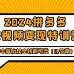 (9817期)2024拼多多短视频变现特训营,知识的丰厚比起金钱更可靠(11节课)