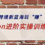 (9800期)ozon跨境新蓝海玩“赚”俄罗斯,ozon进阶实操训练营