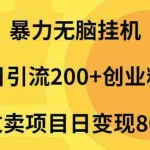 (9788期)暴力无脑挂机日引流200+创业粉通过卖项目日变现2000+