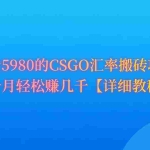 (9776期)CSGO装备搬砖,月综合收益率高达60%,你也可以!