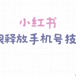 (9762期)小红书无限释放手机号技巧版手慢无