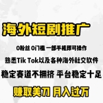 (9746期)海外短剧推广分佣