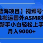 (9743期)【2024蓝海项目】视频号分成计划,无脑搬运国外ASMR视频,新手小白轻松…