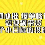 (9687期)随心推 爆单秘诀,短视频带货-超1个小目标的投放心得(7节视频课)