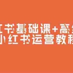 (9660期)小红书基础课+高级课-小红书运营教程(53节视频课)