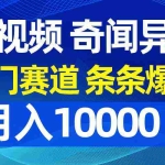 (9627期)中视频奇闻异事,冷门赛道条条爆款,月入10000+