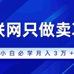 (9623期)互联网的尽头就是卖项目,被割过韭菜的兄弟们必看!轻松月入三万以上!