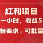 (9621期)日均收益500+,全天24小时可操作,可批量放大,稳定!