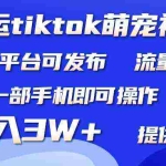 (9618期)搬运Tiktok萌宠类视频,一部手机即可。所有短视频平台均可操作,月入3W+