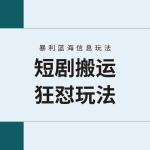 (9558期)【蓝海野路子】视频号玩短剧,搬运+连爆打法,一个视频爆几万收益!附搬…