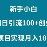 (9556期)新手小白如何通过卖项目实现月入10W+