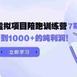 (9541期)黄岛主《淘宝蓝海虚拟项目陪跑训练营7期》每天200到1000+的纯利润