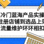 (9527期)拼系冷门蓝海产品实操课程,从注册店铺到选品上架到流量维护环环相扣
