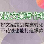 (9508期)爆款文案写作课:做好文案策划提高转化率,不花钱也能打造爆款(19节课)
