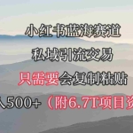 (9487期)小红书短剧赛道,私域引流交易,会复制粘贴,日入500+(附6.7T短剧资源)