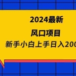(9483期)2024最新风口项目 新手小白日入2000+