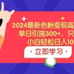 (9480期)2024最新色粉变现高收益技术,单日引流300+,只需搬运,小白轻松日入1000+