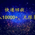 (9464期)完美落地,暴利快递回收项目。每天收入10000+,可无限放大