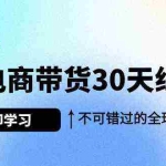 (9463期)Tk电商带货30天线上课,不可错过的全球流量洼地(29节课)