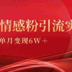 (9473期)单月变现6w+,情感粉引流变现实操课