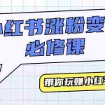 (9413期)小红书涨粉变现必修课,带你玩赚小红书变现(9节课)
