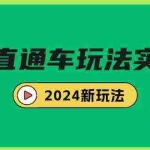 (9412期)多多直通车玩法实战课,2024新玩法(7节课)