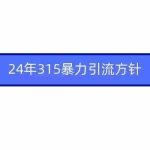 (9398期)2024年315暴力引流方针