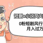 (9374期)短剧+小说风火特训营,0粉短剧风行推广,月入过万(102节课)