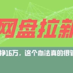 (9373期)网盘拉新+私域全自动玩法,0粉起号,小白可做,当天见收益,已测单日破5000