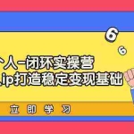 (9331期)个人-闭环实操营:为个人ip打造稳定变现基础,从价值定位/爆款打造/产品…