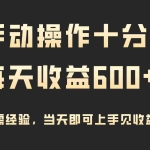 (9324期)手动操作十分钟,每天收益600+,当天实操当天见收益