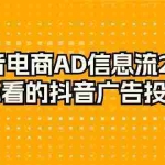 (9299期)抖音电商-AD信息流 28式,小白必看的抖音广告投放课程-29节