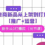 (9286期)电商 新品从上架到打爆【推广+运营】,新手从0打爆款(36节课)