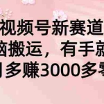 (9277期)视频号新赛道,无脑搬运,有手就行,每个月多赚3000多零花钱
