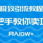 (9265期)极致引流教程,手把手教你卖项目,月入10W+