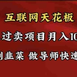 (9201期)导师训练营互联网的天花板,让你告别韭菜,通过卖项目月入10w+,一定要…