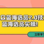 (9189期)拼多多培训第33期:小众蓝海选品2.0技术-蓝海选品实操!