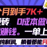 (9187期)半个月收益7K+,无脑搬砖,0成本做中间商,转手就赚钱,一单上百块,单…