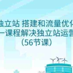 (9156期)独立站 搭建和流量优化,三合一课程解决独立站运营问题(56节课)